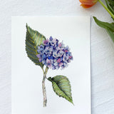 Florence Watercolor